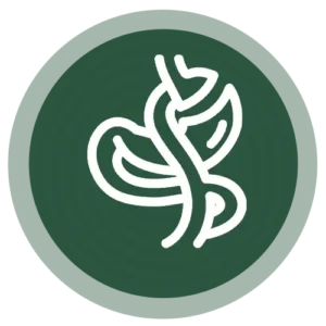 بای پس معده