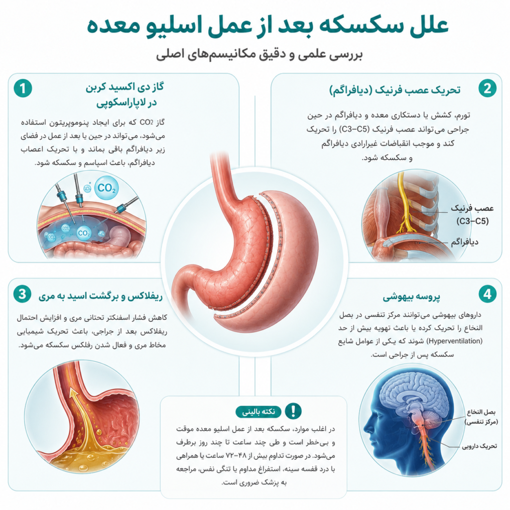 سکسه بعد از عمل اسلیو
